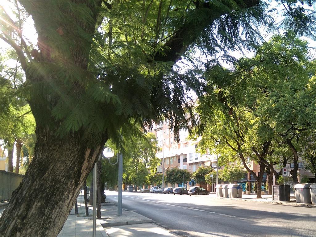 Apartamento Buhaira Sevilla Exteriér fotografie